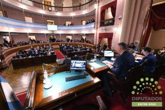 Diputados aprobó el proyecto de Régimen Legal de Acceso a la Información Pública