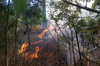 Incendio afectó una zona rural de La Criolla