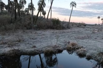 El Palmar, “congelado”: postales de un lugar característico por sus verdes, en una mañana con -7°