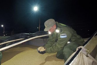 Secuestran 92 toneladas de soja que era transportada en tres camiones por la Mesopotamia