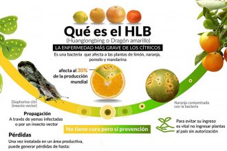 Entidades del citrus y el gobierno provincial renovaron convenio para enfrentar el HLB