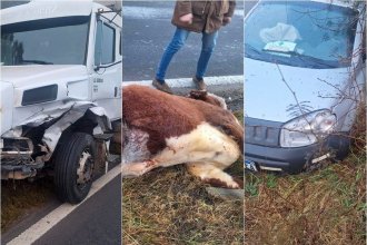 Un camión y un utilitario atropellaron a una vaca en la ruta 18