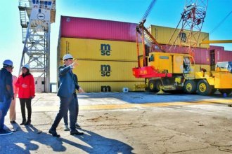 Corrientes recibe 400 contenedores para exportar madera a Europa