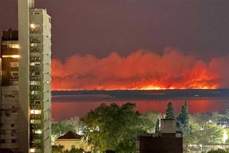 Alertan sobre una “segunda pandemia de fuego” en islas entrerrianas frente a Rosario