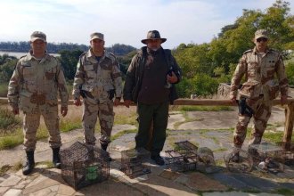 Nuevamente liberaron aves silvestres en el &ldquo;Centro de Interpretación Ambiental Hostal del Río&rdquo;