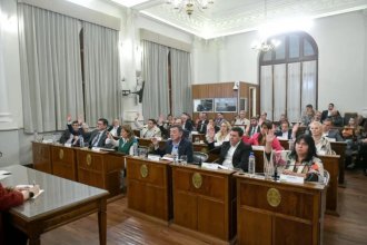 "El RIGI es un cheque en blanco para explotar nuestros recursos naturales", afirmaron los senadores del PJ