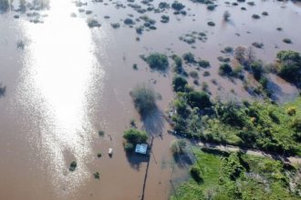 De reserva ecológica a cancha: impugnan estudio de impacto ambiental que presentó la Municipalidad de San José