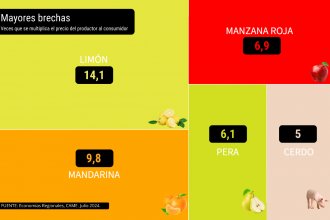 Consumidores pagaron hasta 14 veces más por cada peso que recibió el citricultor