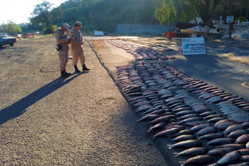 El operativo fue ejecutado por Prefectura Naval.