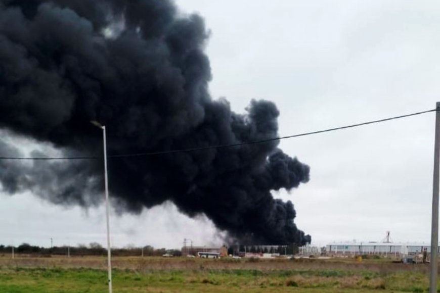 El humo se progaba rápido (foto: El Día).