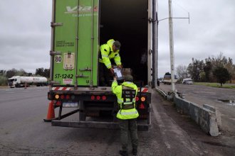 Escanean encomiendas y detectan varias municiones en servicio de paquetería