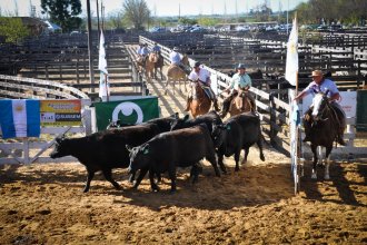 Aseguran que el “fuerte aumento” de las vacas <i>disimuló</i> otros precios “deprimidos”