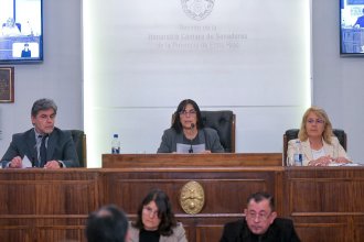 Unanimidad en el Senado: sanción definitiva para el blanqueo de capitales