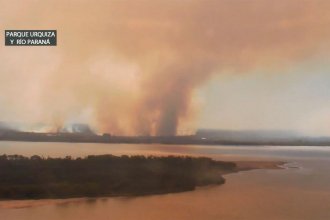 Preocupan los incendios de islas santafesinas frente a Paraná