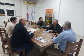 Citricultores pidieron recursos a Cafesg para combatir la plaga del HLB