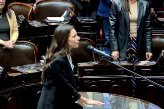 Juró y asumió Nancy Ballejos, la reemplazante de Galimberti en la Cámara de Diputados