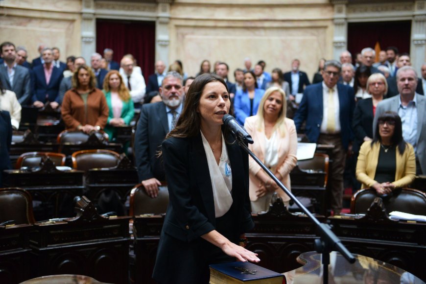 Ballejos juró este miércoles y votó por el veto.