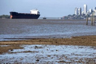 La hidrovía se vacía de barcos por la pronunciada bajante del río Paraná