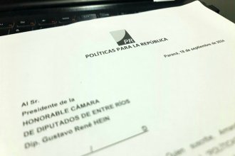 Piden cambios a la BUP que promueve Frigerio: dicen que hay requisitos “proscriptivos” para particos chicos