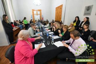 Reforma electoral: comisiones de Diputados trasladan el debate a la costa del Uruguay