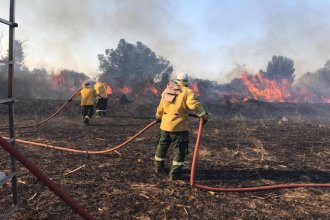 El fuego avanzó sobre 140 hectáreas de campos ubicados en la Ruta 12