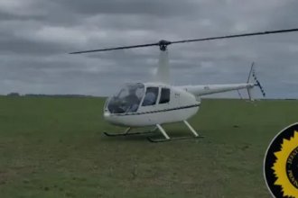 Insólito. Joven fue embestido por un búfalo, quedó tendido en el campo y debió ser trasladado en helicóptero