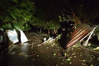 Fuerte temporal azotó Hernandarias y dejó varios puntos severamente afectados