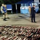 Secuestraron armas y decomisaron roedores en dos vehículos que circulaban en conjunto