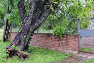 Ciudad de la costa del Uruguay registró ráfagas de viento cercanas a los 80 kilómetros por hora