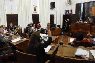 Cruces y polémicas en el Concejo Deliberante hasta por los homenajes