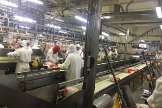 Cierran planta avícola y despiden a 200 trabajadores. La gripe aviar y la falta de reapertura del mercado chino afectaron la actividad