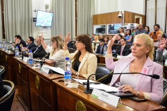 El Senado aprobó cargos para el Servicio Penitenciario y pliegos del COPNAF, pero no hubo quórum para el RIGI