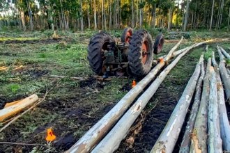 Un hombre murió aplastado por el tractor con el que trabajaba