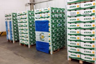 FAMA concretó la primera exportación de citrus dulce argentino a Centroamérica