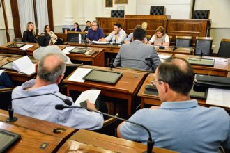 Ley de Fitosanitarios: profesionales y ambientalistas cuestionaron el proyecto en una audiencia con senadores