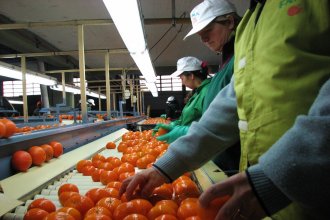 Conforman la Mesa Provincial de Producción Orgánica para fortalecer el crecimiento del sector