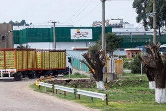 La pincipal productora de pollos del país, con dos plantas en la provincia, se declaró en crisis