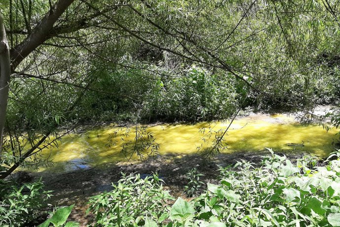 Informe técnico revela alta contaminación en el Yuquerí Chico por los efluentes que vuelca una empresa