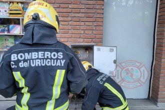 Múltiples llamados por el fuerte olor a gas en viviendas, puso en alerta a los bomberos. Se desconocen los motivos