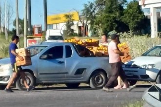 <i>“Naranjas para todos”.</i> Volcó un camión con citrus y se llevaron parte de su carga