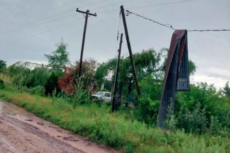 Temporal ocasionó voladura de techos y caída de árboles en ciudad entrerriana