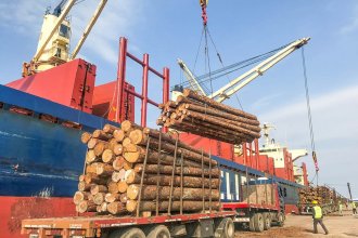 En lo que va del año, se exportaron más de 600.000 toneladas de madera desde la provincia