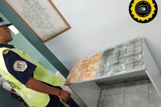 Incautaron 82 mil dólares a automovilista que intentó justificarlos con un PDF