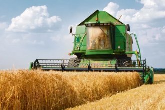 Informan que el campo entrerriano deberá producir más del promedio para cubrir costos