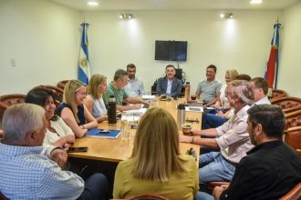 Los nueve senadores del PJ ante una reunión clave para la reforma política