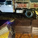 Los vieron salir de una quinta en un viejo camión cargado de naranjas robadas. “Operativo cerrojo” logró interceptarlos