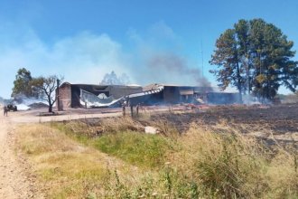 El fuego avanzó sobre un aserradero y consumió dos galpones completos