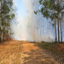 4 dotaciones de bomberos trabajan para sofocar un incendio que está “fuera de control”