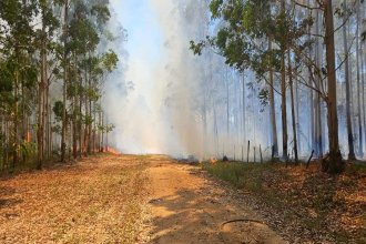 4 dotaciones de bomberos trabajan para sofocar un incendio que está “fuera de control”