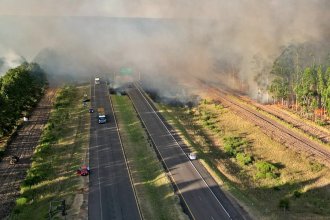 3 incendios afectan a Concordia. En uno, el fuego atravesó la autovía Artigas